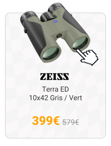 Zeiss - Terra ED 10x42 Gris / Vert